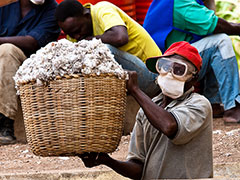 Man with goggles and red hat holds large basket of cotton