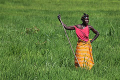 Woman in yellow skirt and pink blouse stands in a green field