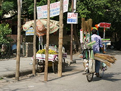 Man on a bicycle with brooms rides past a vegetable stand in New Delhi.